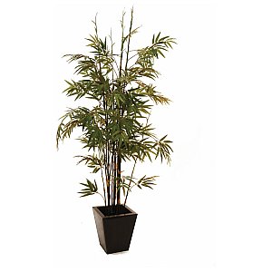 Europalms Bamboo black trunk, 152cm, Sztuczna roślina 1/2