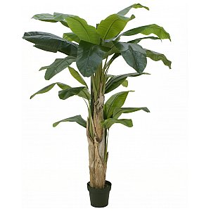 Drzewo bananowe, sztuczna roślina, 170 cm EUROPALMS 1/9