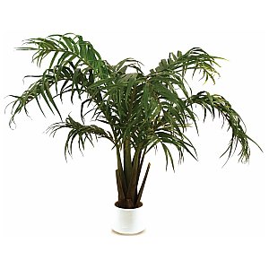 Europalms Coconut bush, 230cm Sztuczna palma 1/2