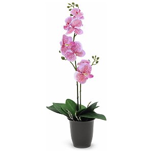 Europalms Orchid, pink, 57cm, Sztuczny kwiat 1/1