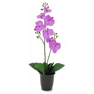 Europalms Orchid, purple, 57cm, Sztuczny kwiat 1/1