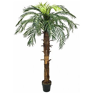 Europalms Coconut king palm, 160cm Sztuczna palma 1/2
