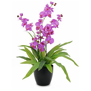 Europalms Orchid, purple, 80cm, Sztuczny kwiat 1/2