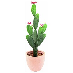 Europalms Cactus with flower, 77cm, Sztuczny kaktus 1/3