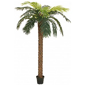 EUROPALMS Phoenix Deluxe, sztuczna roślina palmowa, 300 cm 1/4