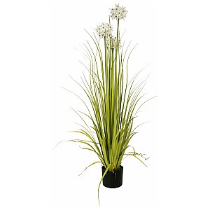EUROPALMS Allium trawa, sztuczna roślina, biała, 120 cm 1/5