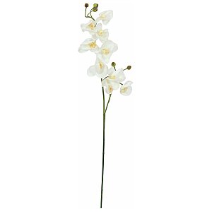 Europalms Orchidspray, cream-white, 100cm , Sztuczny kwiat 1/2