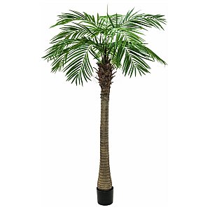 EUROPALMS Phoenix palma luxor, sztuczna roślina, 240 cm 1/5