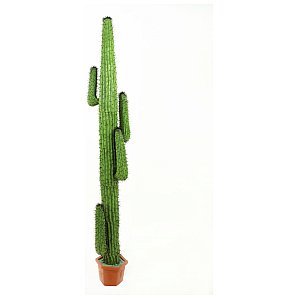 Europalms Mexican Cactus, green, 230cm, Sztuczny kaktus 1/3