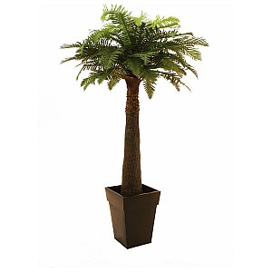 Europalms Sztuczna palma paprociowa Fernpalm 180cm 1/2