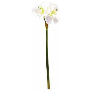 Europalms Amaryllisbranch, white, 72cm, Sztuczny kwiat 1/4