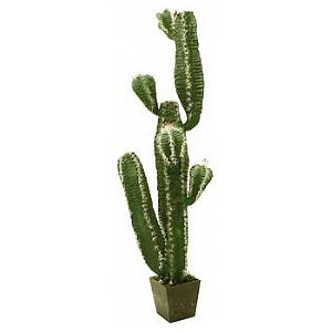 Europalms Mexican cactus, 170cm, Sztuczny kaktus 1/4