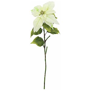 Europalms Poinsettia, cream, 70cm, Sztuczny kwiat 1/2