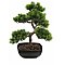 Sosna bonsai, sztuczne drzewko, 50cm Europalms