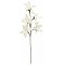 EUROPALMS Clematis Branch (EVA), sztuczny kwiat, biały