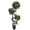 EUROPALMS Spiralny pień Ficus, sztuczna roślina, 160 cm