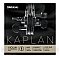 D'Addario Kaplan Loop End Pojedyncza struna do skrzypiec E String, 4/4 Extra-Heavy Tension