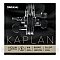D'Addario Kaplan Ball End Pojedyncza struna do skrzypiec E String, 4/4 Extra-Heavy Tension