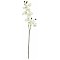 Europalms Orchidspray, cream-white, 100cm , Sztuczny kwiat