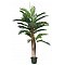 EUROPALMS Kentia palma, sztuczna roślina, 120 cm