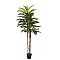 EUROPALMS Kentia palma, sztuczna roślina, 150 cm