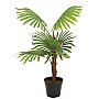 EUROPALMS Sztuczna palma wachlarzowa 88cm