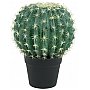 EUROPALMS Barrel Cactus, sztuczna roślina kaktus, 34 cm