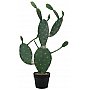 EUROPALMS Kaktus nopal, sztuczna roślina, 76 cm