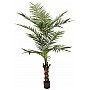 EUROPALMS Kentia palm tree, artificial plant, 240cm Sztuczna palma