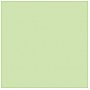 Rosco E-Colour PLUS GREEN  #244 - Arkusz
