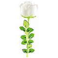 EUROPALMS Róża kryształowa, biała, sztuczny kwiat, 81 cm 12x 2/3