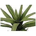 Europalms Sztuczny Aloes (EVA) zielony, 50cm 2/2
