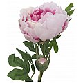 EUROPALMS Kwiat Piwonia classic, sztuczna roślina, różowy, 80 cm 2/2