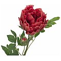EUROPALMS Kwiat Piwonia classic, sztuczna roślina, magenta, 80cm 2/2