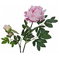 EUROPALMS Kwiat Piwonia premium, sztuczna roślina, różowy, 100 cm 2/2