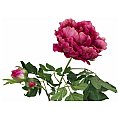 EUROPALMS Kwiat Piwonia premium, sztuczna roślina, magenta, 100 cm 2/2