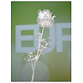 EUROPALMS Kryształowa róża, przezroczysta, sztuczny kwiat, 81 cm 12x 4/5