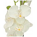 EUROPALMS Orchidea, sztuczna roślina, kremowa, 80 cm 2/4