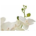 EUROPALMS Orchidea, sztuczna roślina, kremowa, 80 cm 3/4