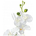 EUROPALMS Orchidea, sztuczna roślina, biała, 80 cm 2/5