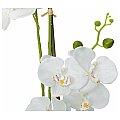 EUROPALMS Orchidea, sztuczna roślina, biała, 80 cm 3/5