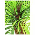 Europalms Areca palmtree, 120cm, Sztuczna palma 2/2