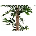 EUROPALMS Ficus longifolia, sztuczna roślina, 165 cm 4/5