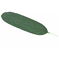 Europalms Banana leaf set 98cm, 12 szt., Sztuczny liść 2/2