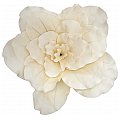EUROPALMS Giant Flower (EVA), sztuczny kwiat, kremowy biały, 80 cm 2/3