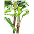 Europalms Banana tree set, 4-trunks, 240cm, Sztuczne rośliny 3/3
