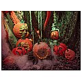 EUROPALMS Straszne dekoracje Halloween Latarnia w wydrążonej dynii 35x18x13cm 2/2
