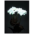Europalms Hydrangea, white, with flowers, 100LEDs, Sztuczna roślina LED 4/5