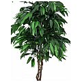 Europalms Jungle tree Mango, 210cm, Sztuczna roślina 2/2