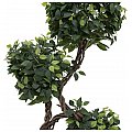 EUROPALMS Spiralny pień Ficus, sztuczna roślina, 160 cm 3/4